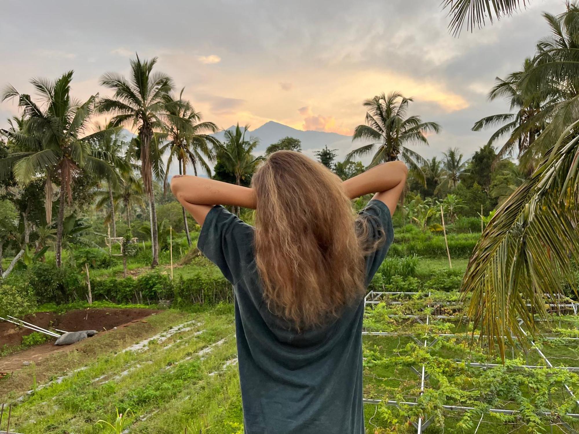 Rinjani Eco Villa Senaru Bayan Exteriör bild