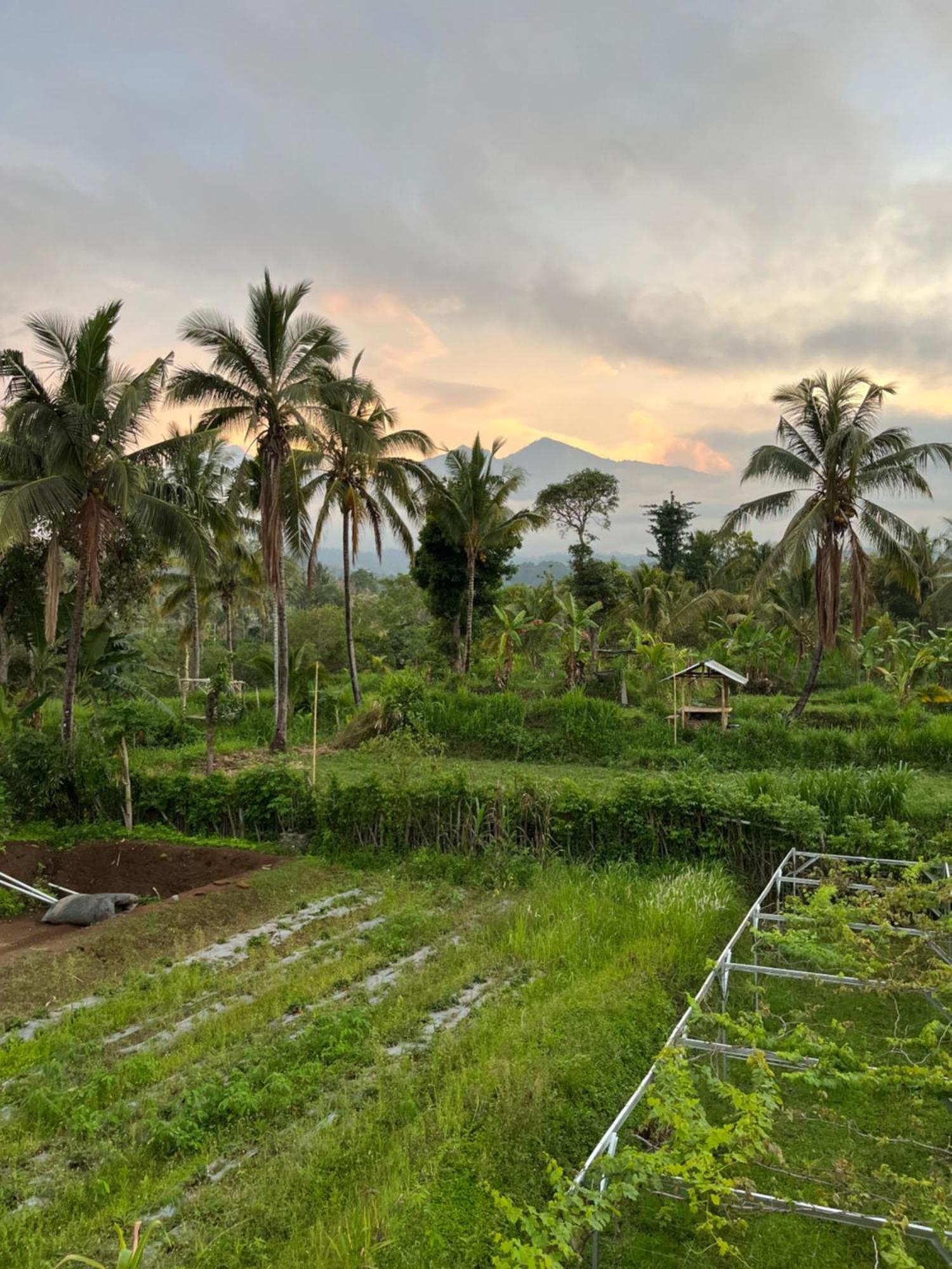Rinjani Eco Villa Senaru Bayan Exteriör bild