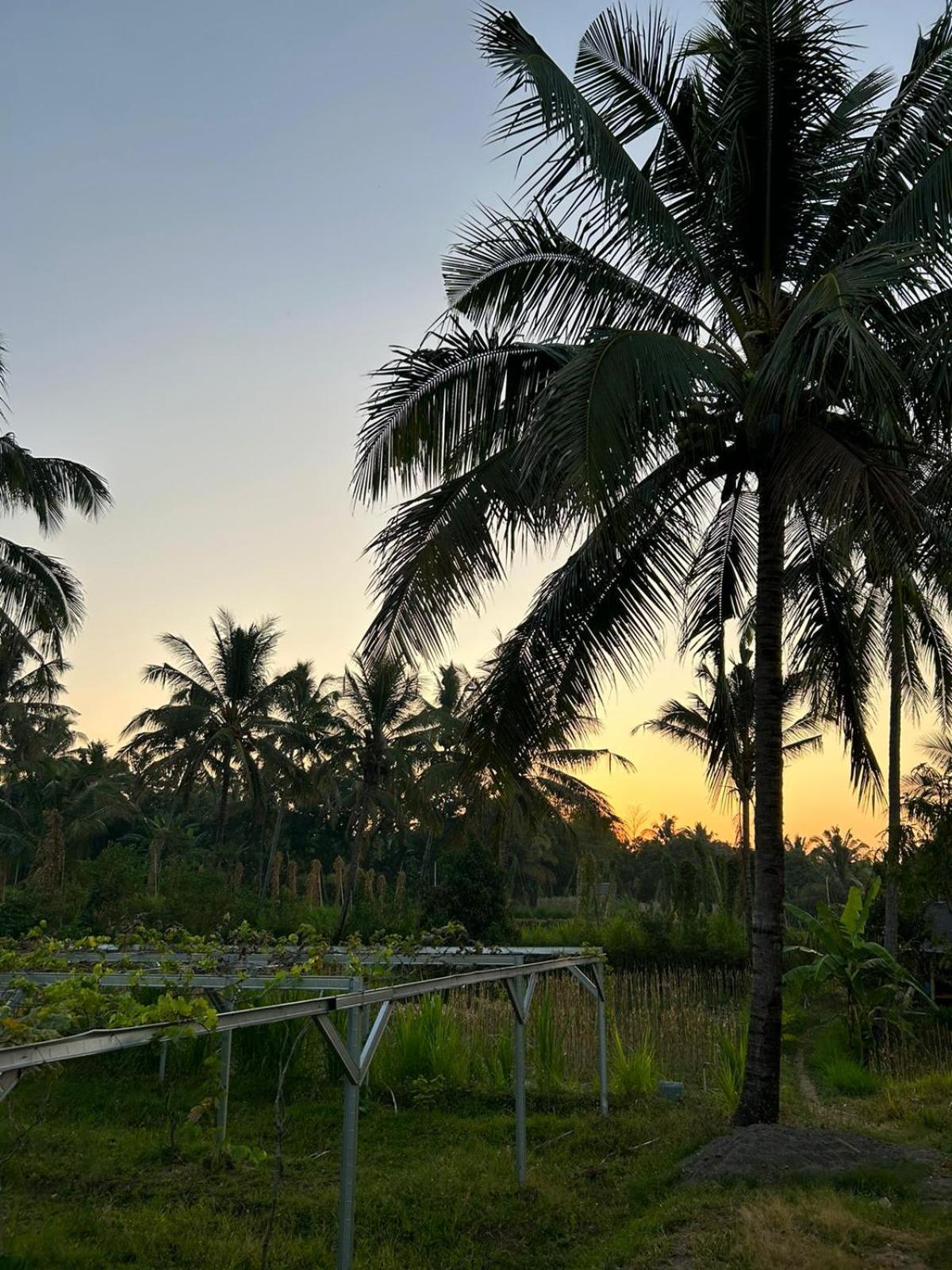 Rinjani Eco Villa Senaru Bayan Exteriör bild