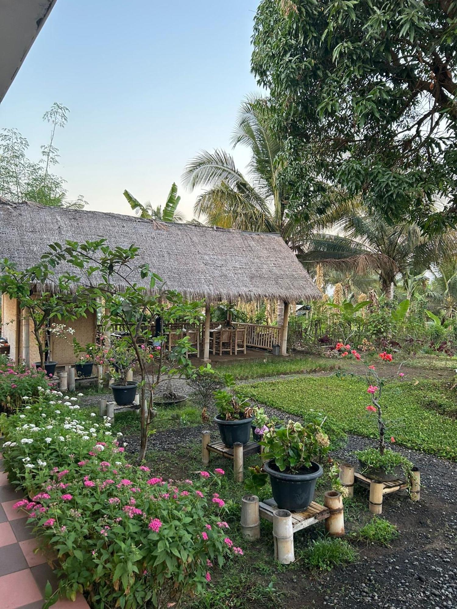 Rinjani Eco Villa Senaru Bayan Exteriör bild
